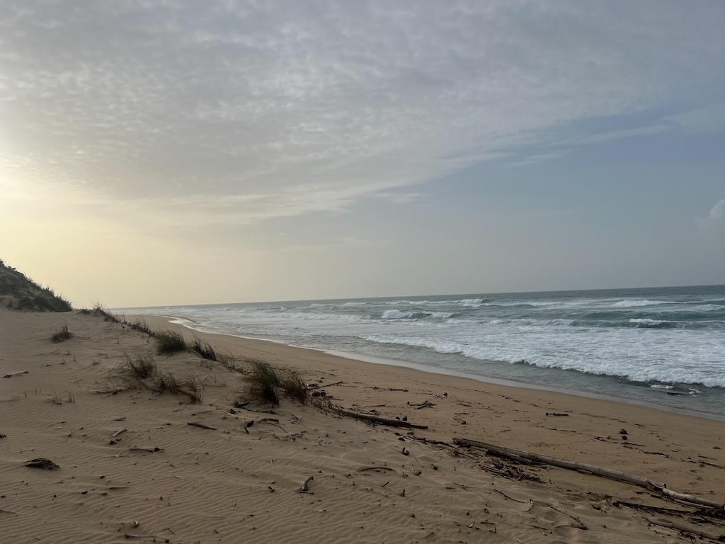 Homepagebeachphoto