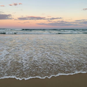 c-a-m-e-r-a-c-l-i-c-k-BWn9apPfQnA-unsplash Photo by c a m e r a c l i c k on Unsplash